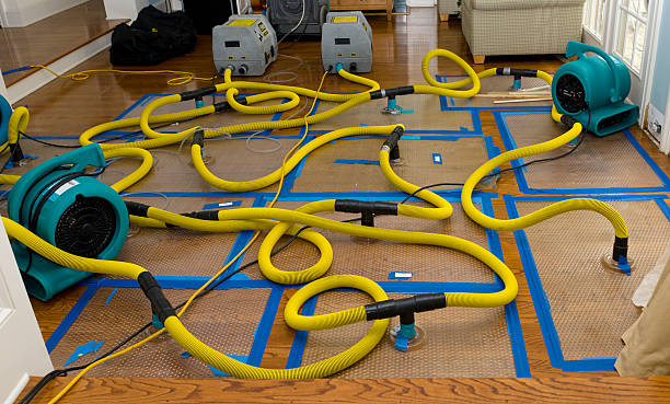 Professional Crawl Space Water Removal technician working in Bulverde, TX